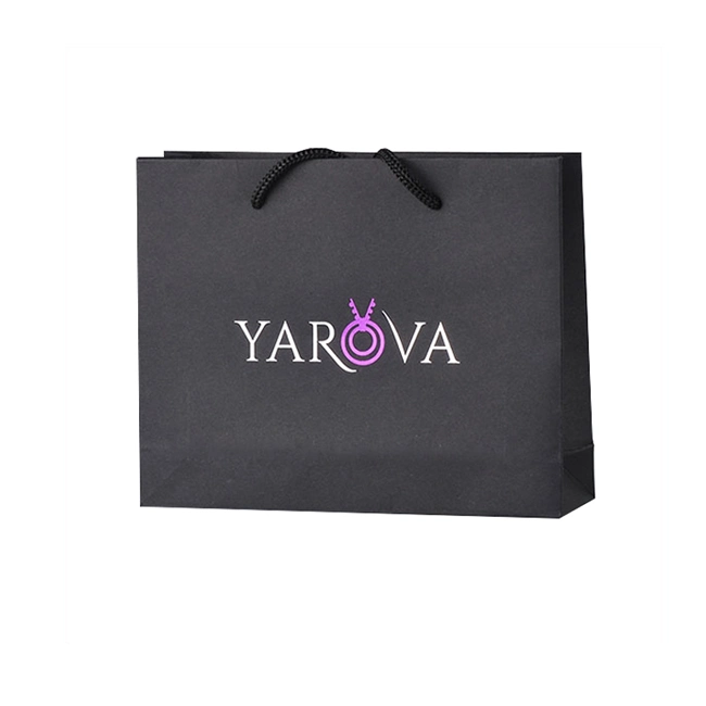 Printed Black Paper Packaging Luxury Shopping Gift Bag with Handle